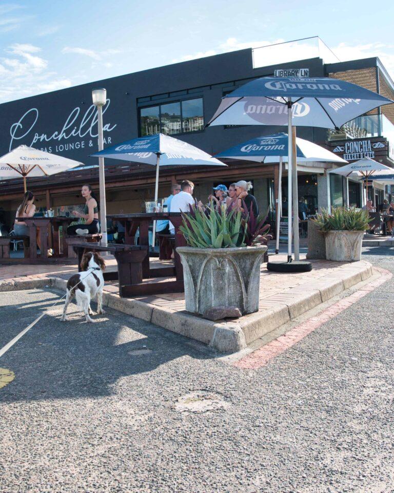 Concha Bakery and Cafe