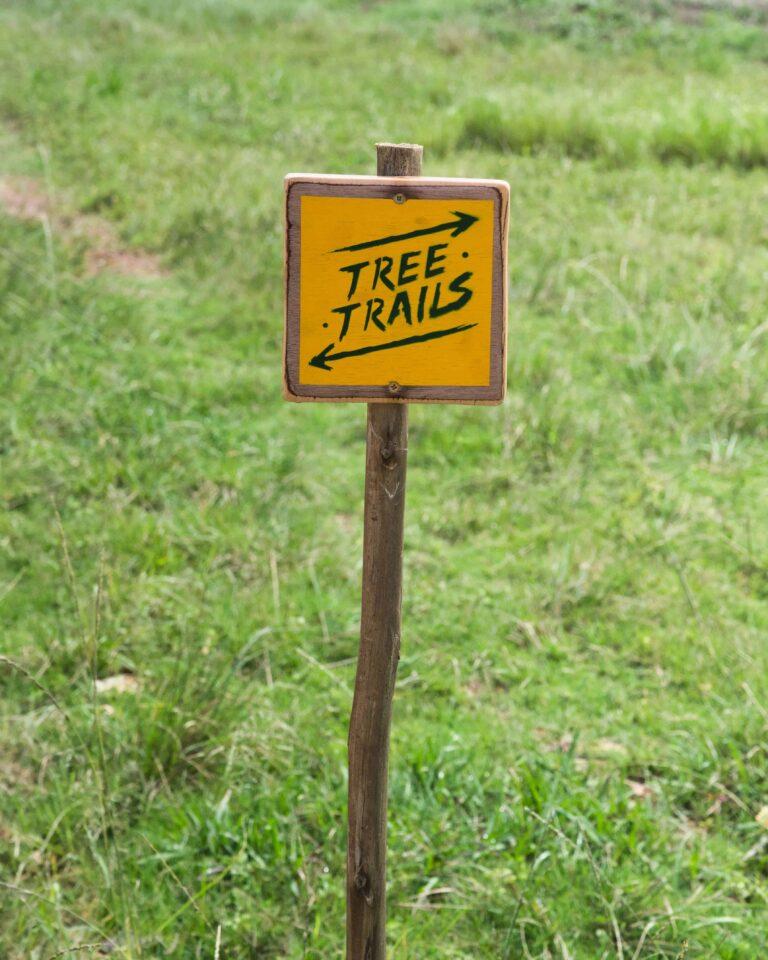 Holla Trails/ Sugar Rush Park