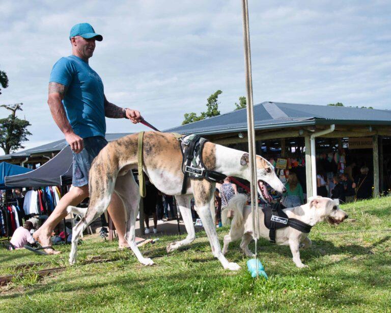 Shongweni Farmers Market