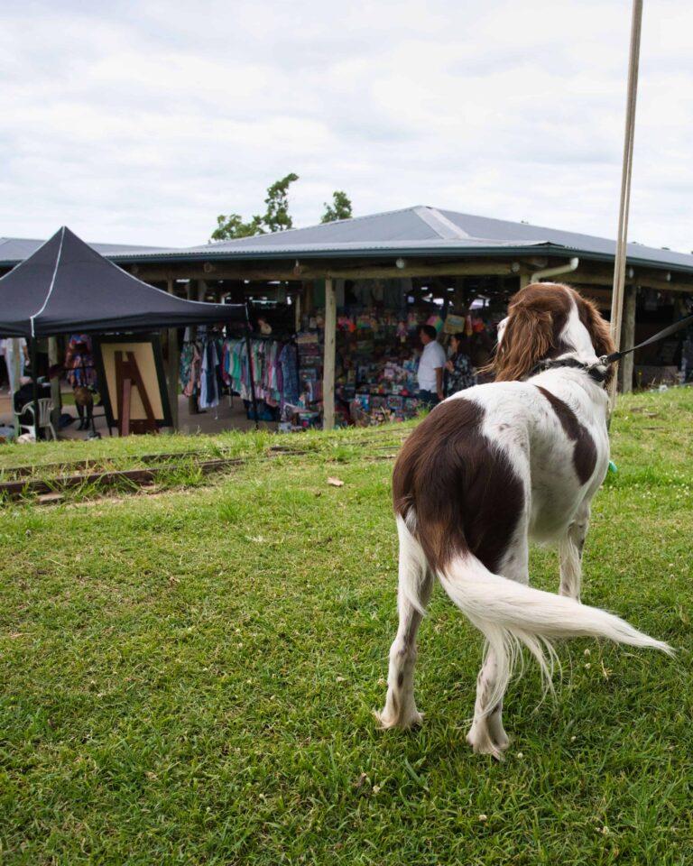 Shongweni Farmers Market