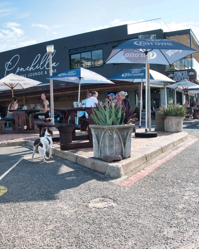 Concha Bakery and Cafe